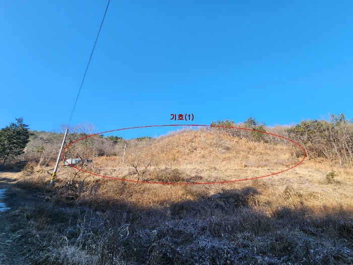 전라남도 장흥군 장흥읍 성불리 80 전 경매 물건 사진