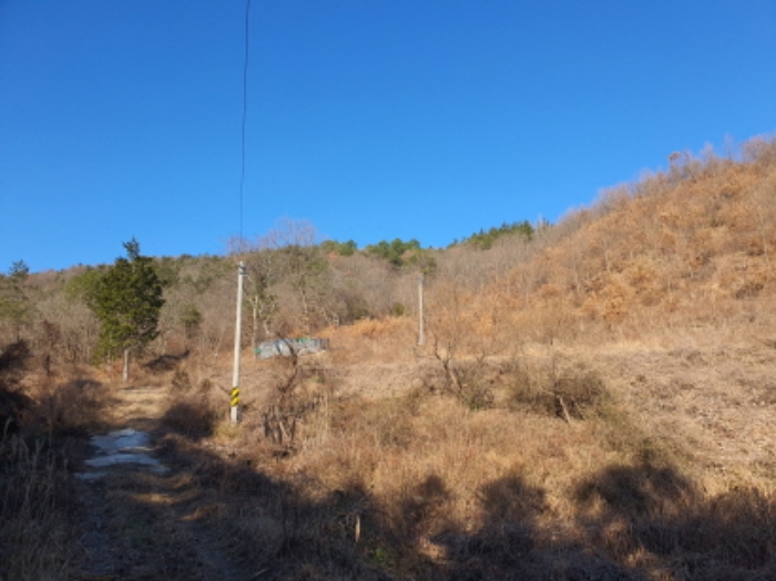 전남 장흥군 장흥읍 전 경매 물건 사진