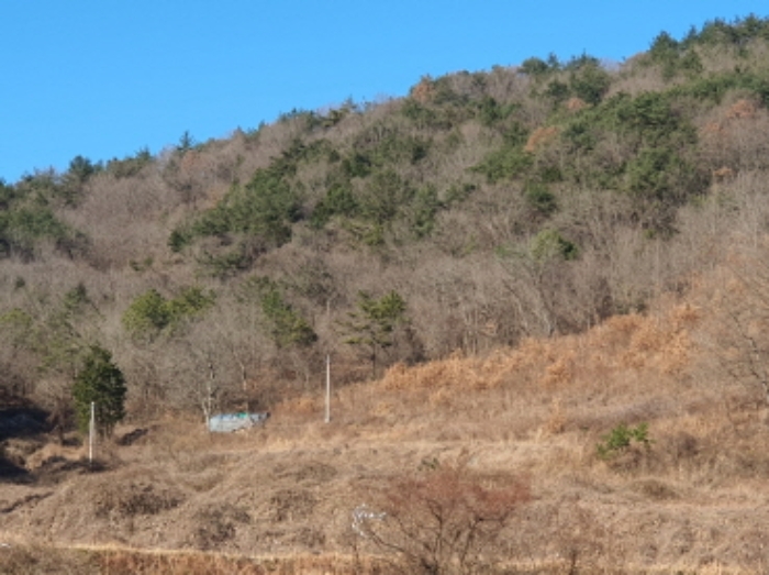전남 장흥군 장흥읍 전 경매 물건 사진 2 · 2024타경6667