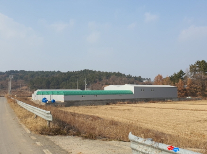 전남 강진군 마량면 답 경매 물건 사진