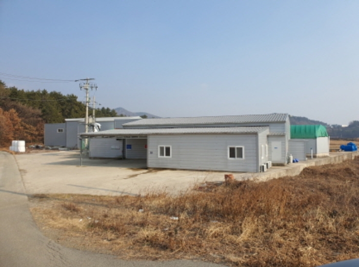 전남 강진군 마량면 답 경매 물건 사진 4 · 2025타경5043