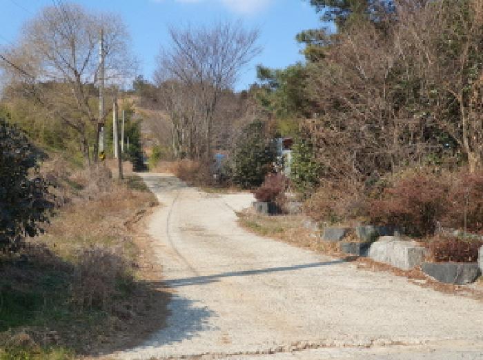 전남 강진군 성전면 전 경매 물건 사진