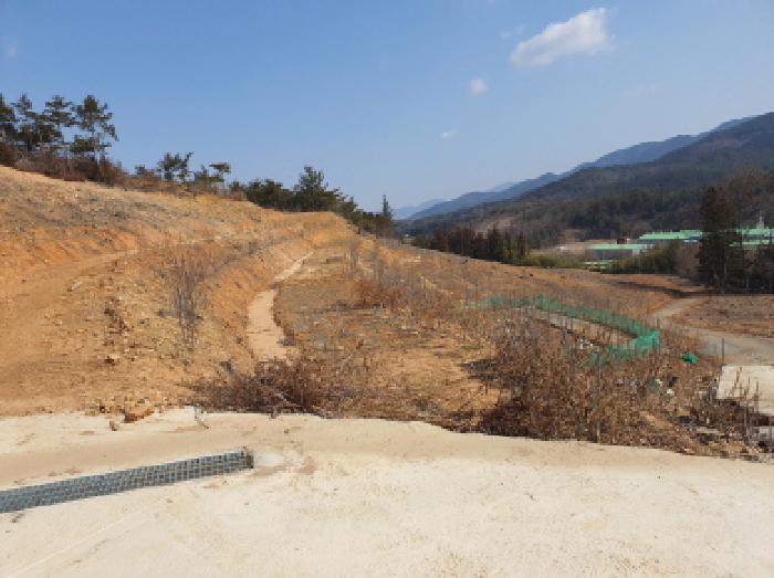 전남 강진군 성전면 전 경매 물건 사진 6 · 2025타경5204
