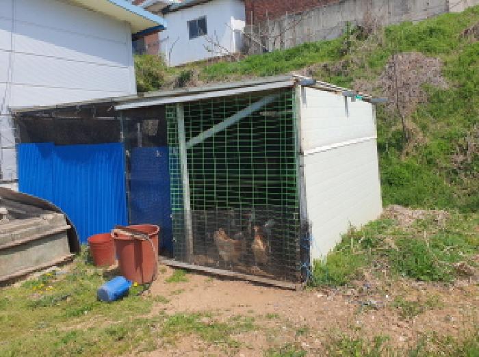 전남 강진군 마량면 창고시설 경매 물건 사진 3 · 2025타경5218