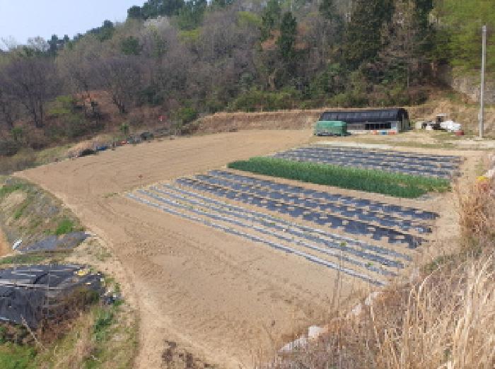 전남 장흥군 안양면 전 경매 물건 사진 6 · 2025타경5228