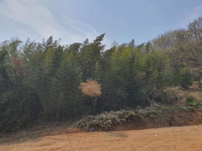 전남 강진군 도암면 임야 경매 물건 사진
