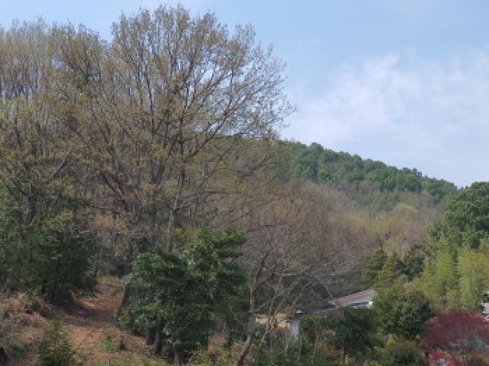 전남 강진군 도암면 임야 경매 물건 사진 2 · 2025타경5236