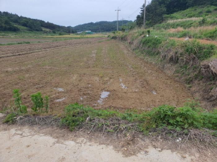 전남 강진군 마량면 답 경매 물건 사진
