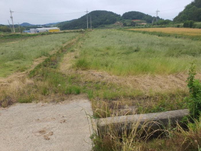 전남 강진군 마량면 답 경매 물건 사진 3 · 2025타경5258
