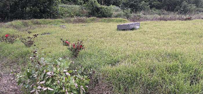 전남 강진군 병영면 대지 경매 물건 사진 6 · 2025타경5272
