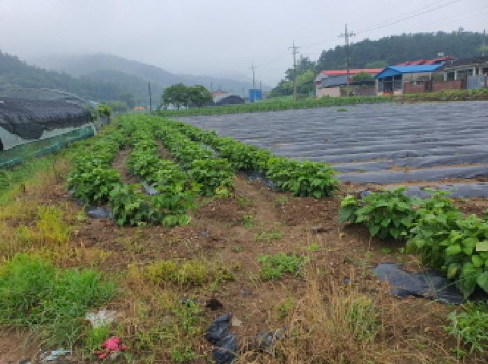 전남 장흥군 장동면 대지 경매 물건 사진