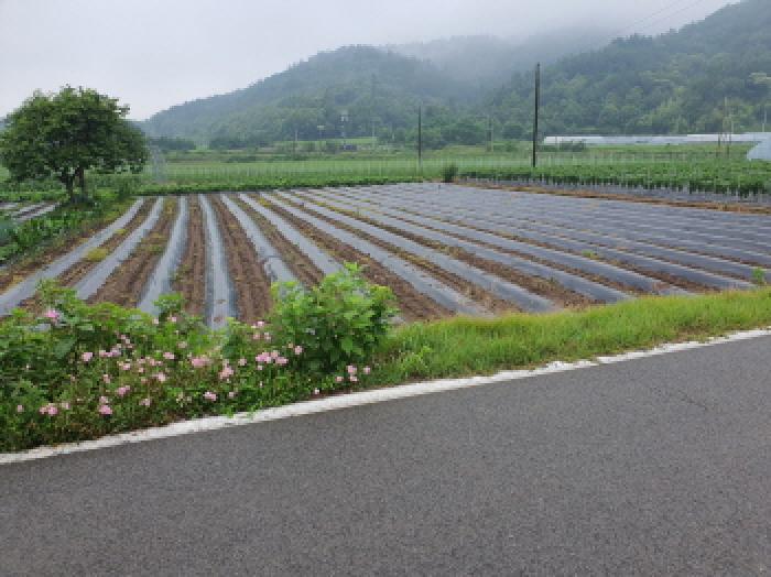 전남 장흥군 장동면 대지 경매 물건 사진 3 · 2025타경5277