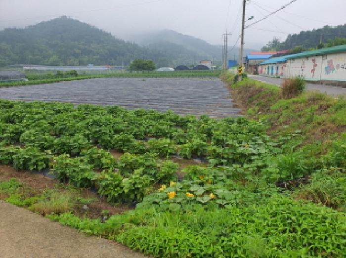 전남 장흥군 장동면 대지 경매 물건 사진 4 · 2025타경5277