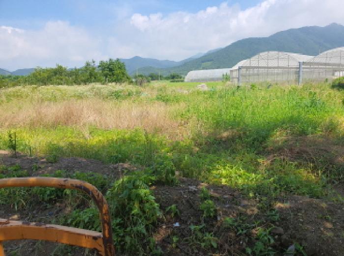 전남 장흥군 장동면 임야 경매 물건 사진 6 · 2025타경5286