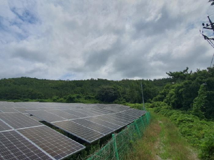 전남 강진군 도암면 임야 경매 물건 사진