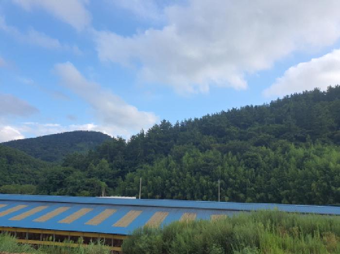 전남 강진군 마량면 대지 경매 물건 사진 4 · 2025타경5293