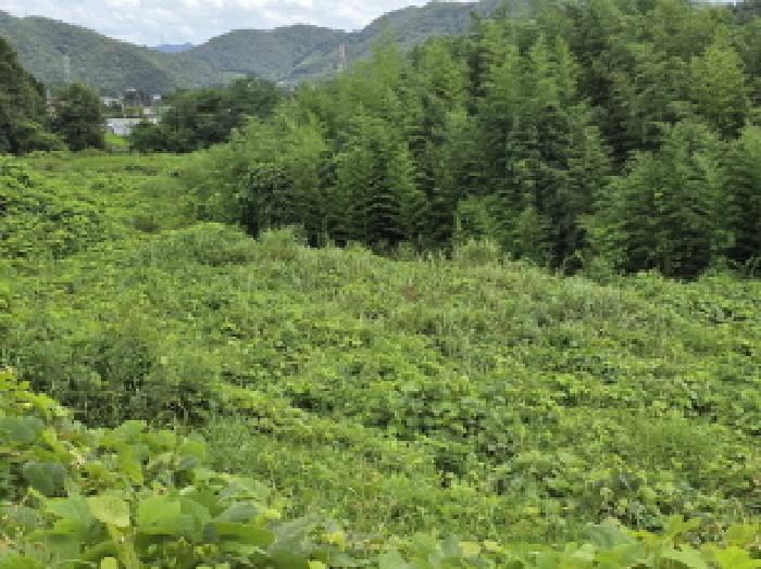 전남 강진군 성전면 답 경매 물건 사진 4 · 2025타경5301