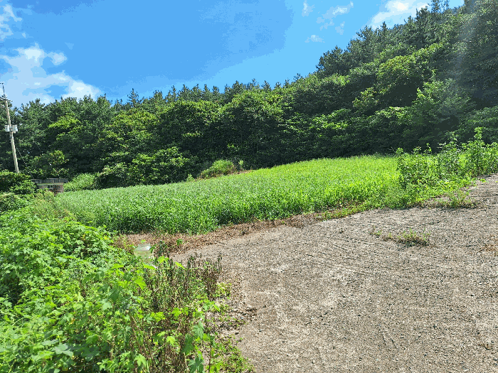 전남 장흥군 관산읍 전 경매 물건 사진 4 · 2025타경5309