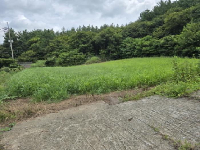전남 장흥군 관산읍 전 경매 물건 사진