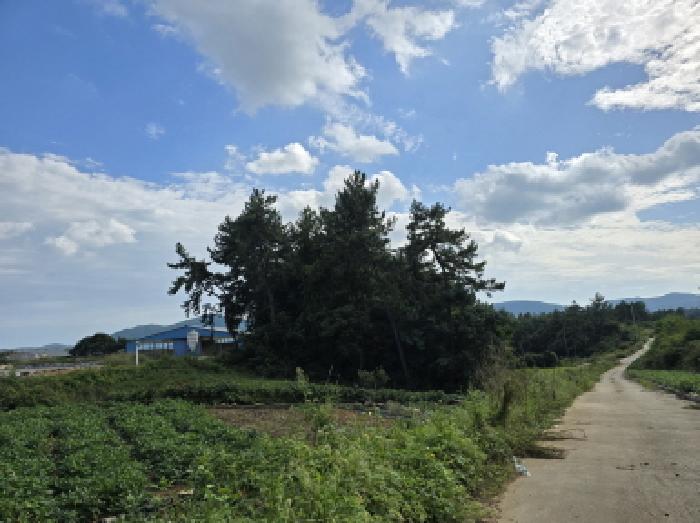 전남 장흥군 관산읍 임야 경매 물건 사진 6 · 2025타경5324