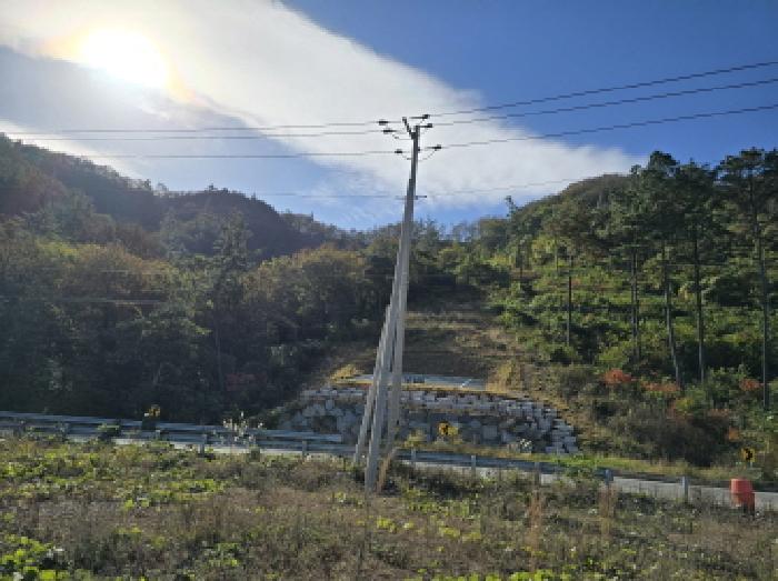 전남 강진군 작천면 임야 경매 물건 사진 2 · 2025타경5348