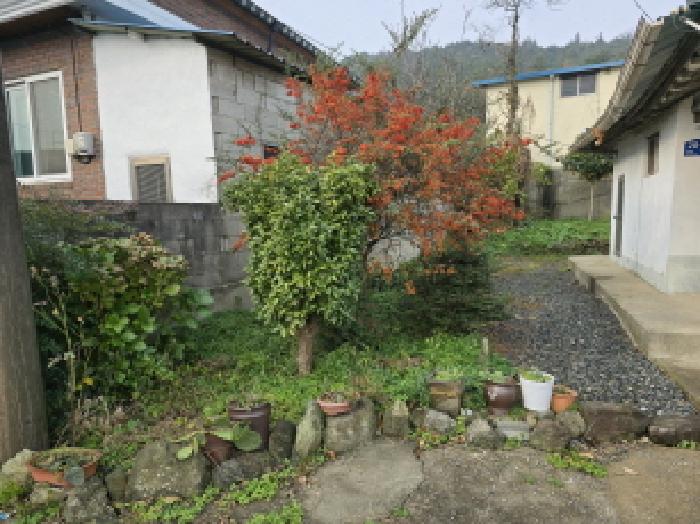 전남 장흥군 장동면 대지 경매 물건 사진 3 · 2025타경5350