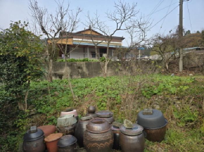 전남 장흥군 장동면 대지 경매 물건 사진 5 · 2025타경5350