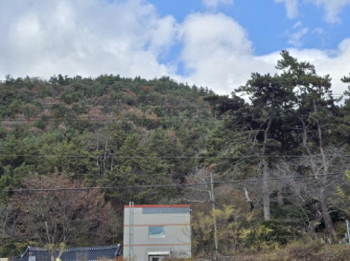 전남 장흥군 관산읍 임야 경매 물건 사진 2 · 2025타경5355