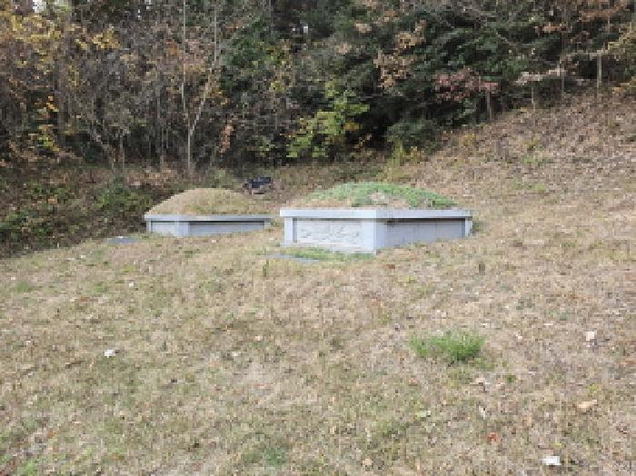 전남 장흥군 관산읍 임야 경매 물건 사진 4 · 2025타경5355