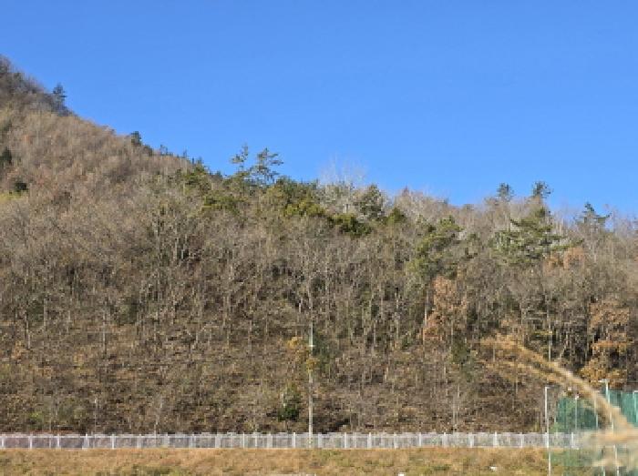 전남 장흥군 관산읍 임야 경매 물건 사진 5 · 2025타경5355