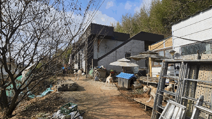 전남 장흥군 장동면 단독주택 경매 물건 사진 4 · 2025타경5367