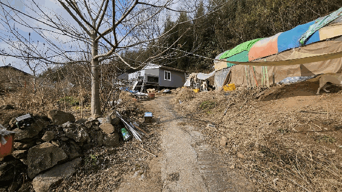 전남 장흥군 장동면 단독주택 경매 물건 사진 6 · 2025타경5367