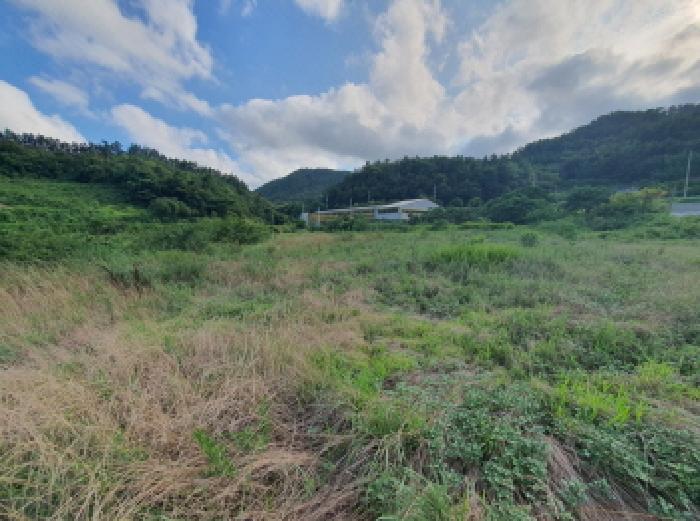 전남 장흥군 대덕읍 답 경매 물건 사진 2 · 2025타경89