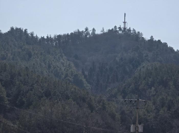 전남 강진군 옴천면 임야 경매 물건 사진