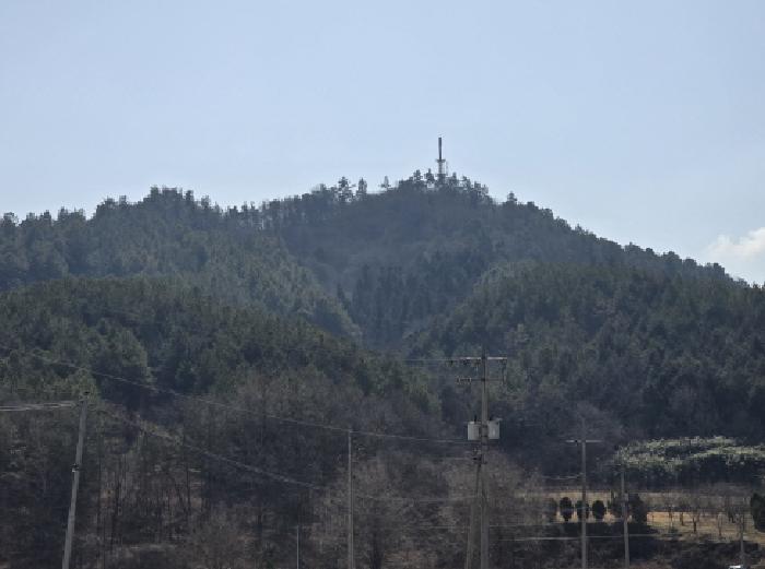 전남 강진군 옴천면 임야 경매 물건 사진 2 · 2026타경1
