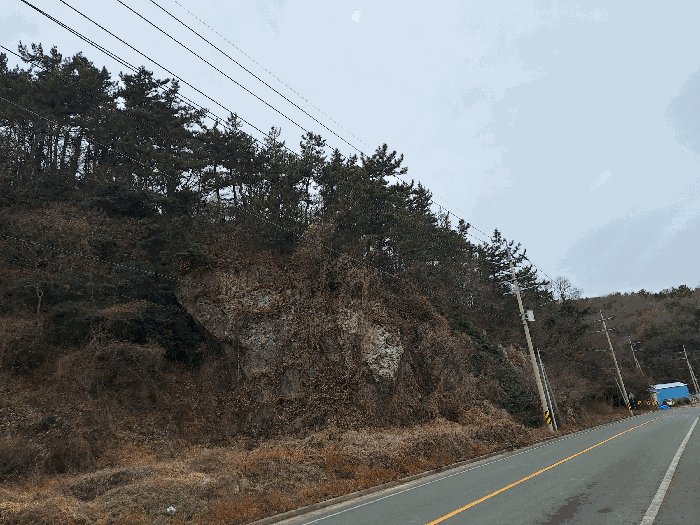 전남 장흥군 관산읍 임야 경매 물건 사진 5 · 2026타경5007