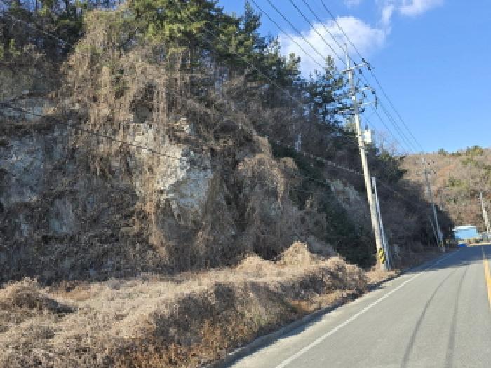 전남 장흥군 관산읍 임야 경매 물건 사진 3 · 2026타경5007