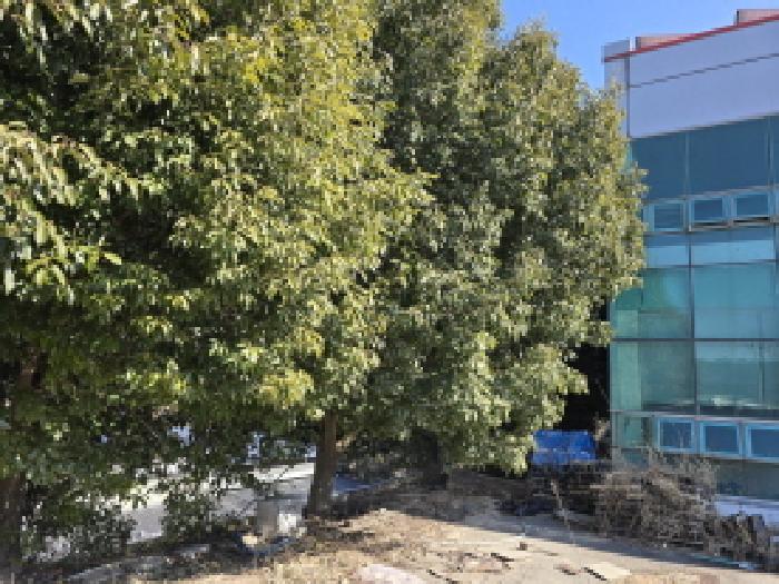 전남 장흥군 안양면 근린시설 경매 물건 사진 5 · 2026타경5009