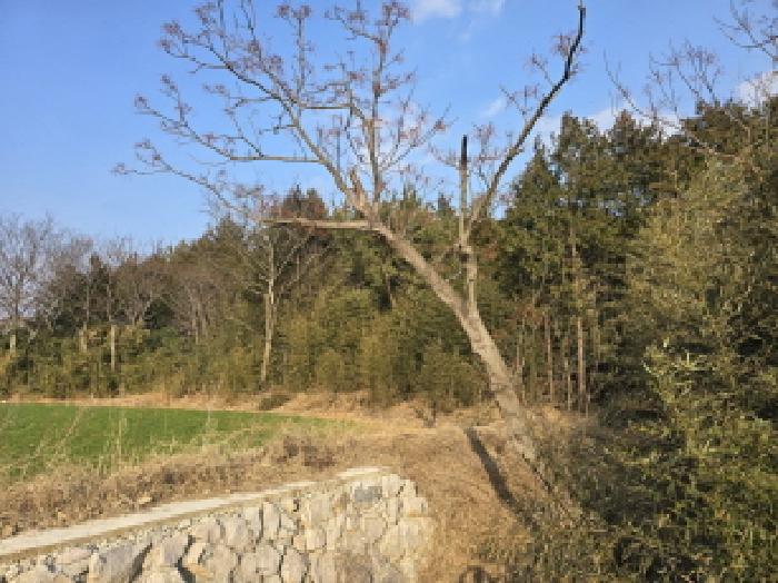 전남 강진군 신전면 임야 경매 물건 사진 2 · 2026타경5030