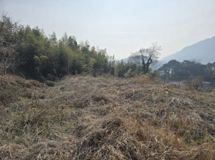 전남 장흥군 장흥읍 대지 경매 물건 사진