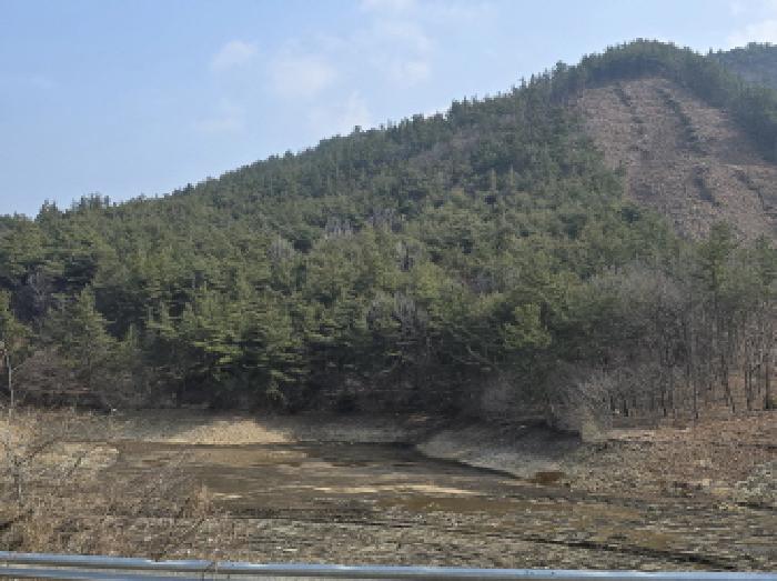 전남 장흥군 장동면 임야 경매 물건 사진 4 · 2026타경5037