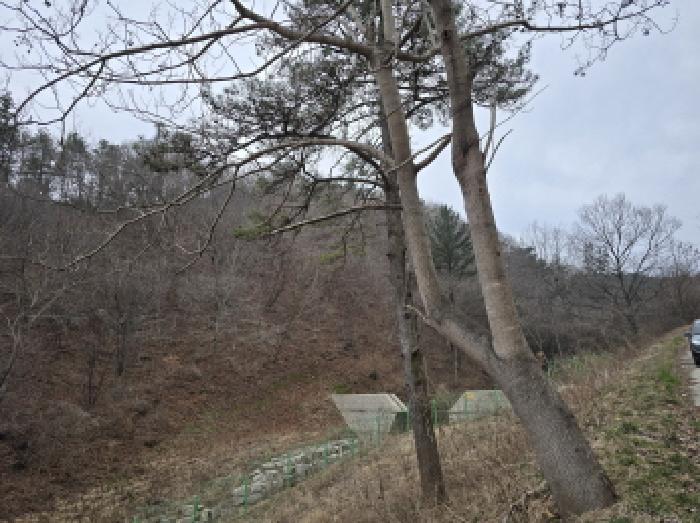 전남 장흥군 장평면 임야 경매 물건 사진 4 · 2026타경5038