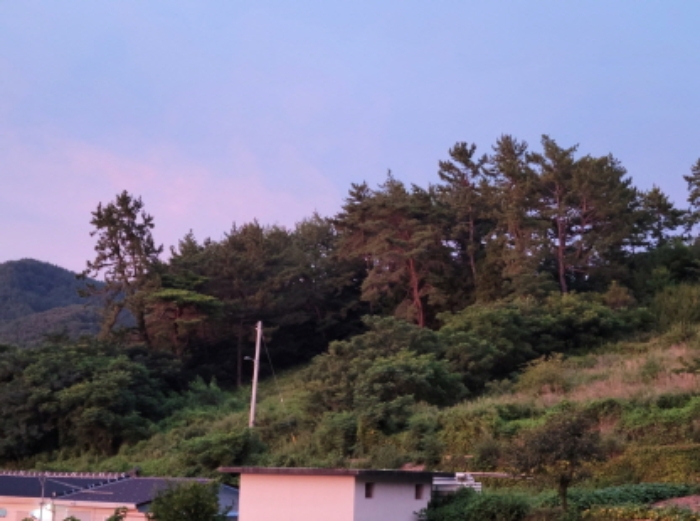 전남 여수시 돌산읍 전 경매 물건 사진 3 · 2021타경4007