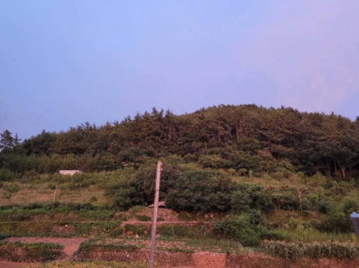 전남 여수시 돌산읍 전 경매 물건 사진 4 · 2021타경4007