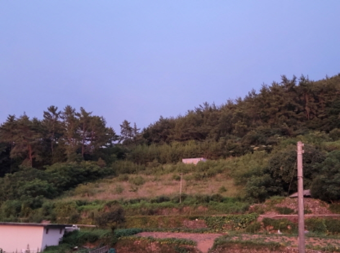 전남 여수시 돌산읍 전 경매 물건 사진 6 · 2021타경4007