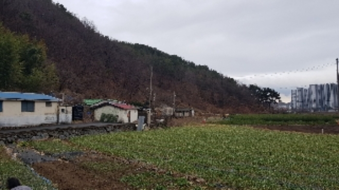 전남 광양시 성황동 임야 경매 물건 사진 2 · 2024타경50094