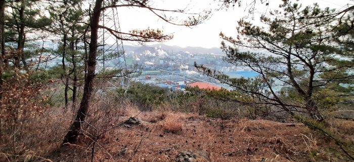 전남 여수시 중흥동 임야 경매 물건 사진 4 · 2024타경51547