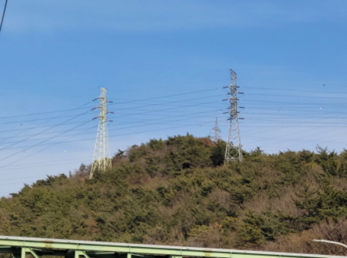 전남 여수시 중흥동 임야 경매 물건 사진