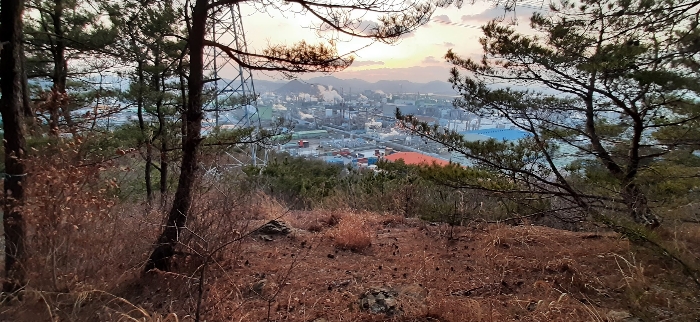 전남 여수시 중흥동 임야 경매 물건 사진 2 · 2024타경51547