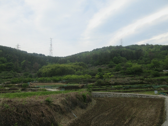 전남 여수시 상암동 답 경매 물건 사진 6 · 2024타경52984